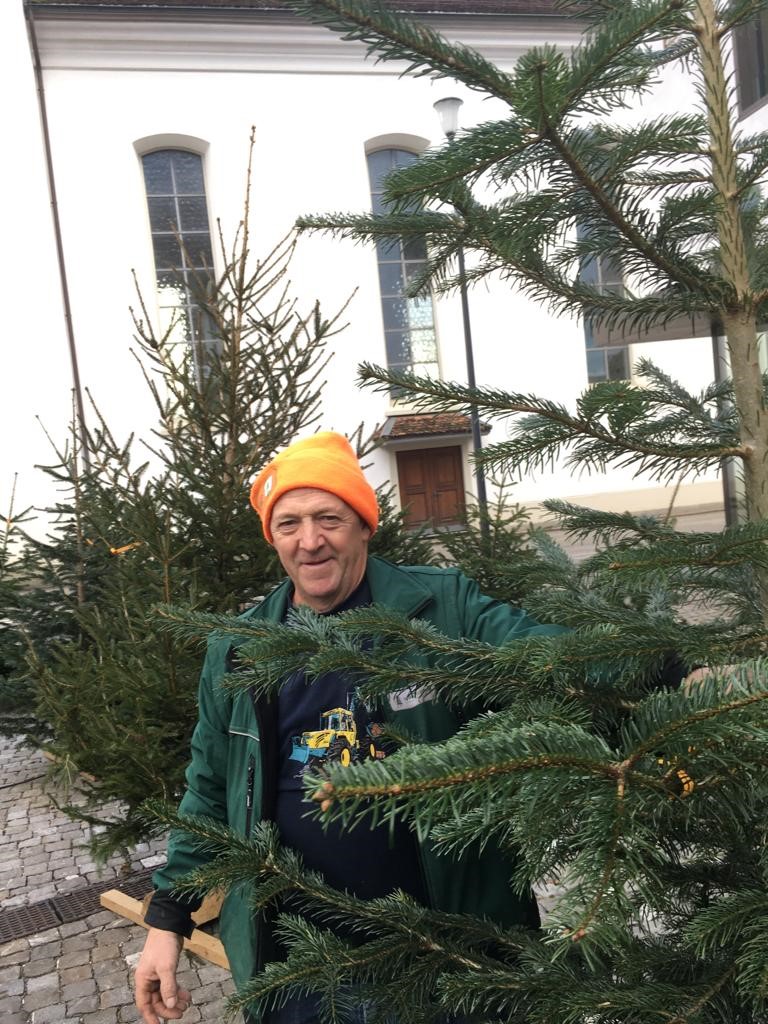 Korporation Walchwil